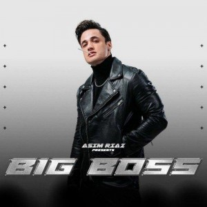 Big Boss - Asim Riaz mp3 songs