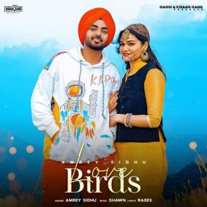 Love Birds - Amrey Sidhu