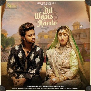 Dil Wapis Kardo - Akshar mp3 songs