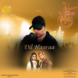 Dil Haaraa - PawanDeep Rajan mp3 songs