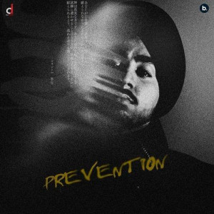 Prevention - Vaseer mp3 songs
