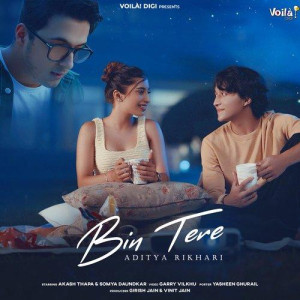 Bin Tere - Aditya Rikhari