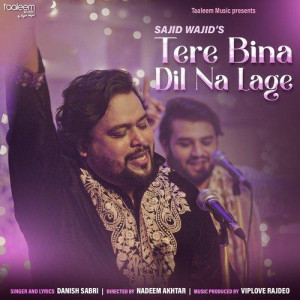 Tere Bina Dil Na Lage - Danish Sabri