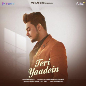 Teri Yaadein - Sanjeev Chaturvedi