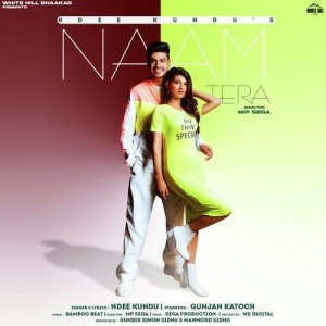 Naam Tera - Ndee Kundu mp3 songs