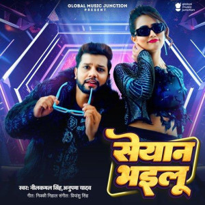 Saiyan Bhailu - Neelkamal Singh mp3 songs