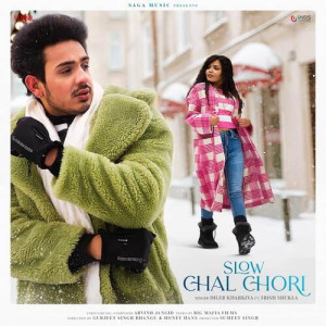 Slow Chal Chori - Diler Kharkiya mp3 songs