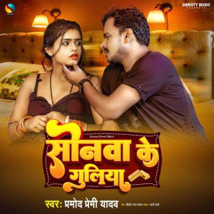 Sonwa Ke Guliya - Pramod Premi Yadav mp3 songs