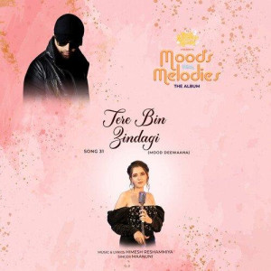 Tere Bin Zindagi - Maanuni mp3 songs