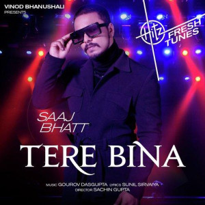 Tere Bina - Saaj Bhatt mp3 songs