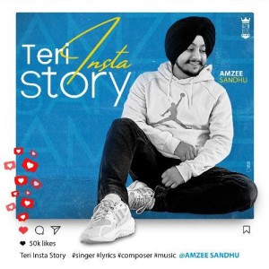 Teri Insta Story - Amzee Sandhu mp3 songs