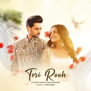 Teri Rooh - Toshi Sabri mp3 songs