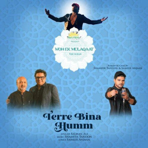 Terre Bina Humm - Salman Ali mp3 songs