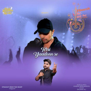 Terri Yaadonn Se - Salman Ali mp3 songs