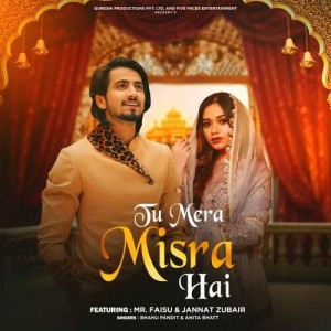 Tu Mera Misra Hai - Bhanu Pandit mp3 songs