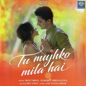 Tu Mujhko Mila Hai - Meet Bros mp3 songs