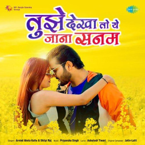 Tujhe Dekha To Ye Jana Sanam - Shilpi Raj mp3 songs