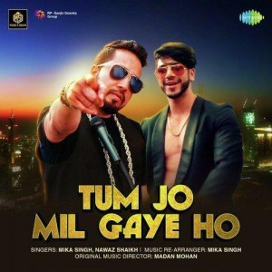 Tum Jo Mil Gaye Ho - Mika Singh mp3 songs