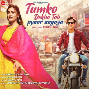 Tumko Dekha Toh Pyaar Aagaya - Raj Barman mp3 songs