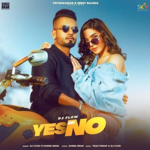 Yes or No - Shree Brar mp3 songs