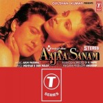 Aajaa Sanam mp3 songs