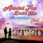 Aanchal Tera Dhalka Hua (1991) mp3 songs