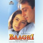 Baaghi (2000) mp3 songs