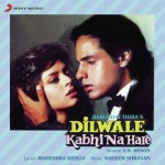 Dilwale Kabhi Na Hare (1992) mp3 songs