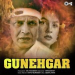Gunehgar (1995) mp3 songs