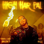 High Har Pal - Mellow D mp3 songs