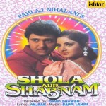Shola Aur Shabnam (1991) mp3 songs
