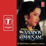 Yaadon Ke Mausam mp3 songs