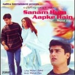 Sanam Hum Aapke Hain mp3 songs