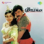 The Gentleman mp3 songs