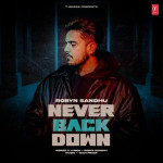 Never Back Down - Robyn Sandhu mp3 songs