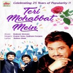 Teri Mohabbat Mein mp3 songs