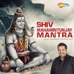 Shiv Mahamritunjay Mantra mp3 songs