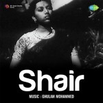 Shair mp3 songs