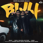 Bijli - Ninja mp3 songs