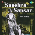 Sunehra Sansar mp3 songs