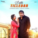 Jutti Tilledar - Surender Romio mp3 songs