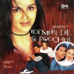 Koi Mere Dil Se Poochhe (2002) mp3 songs