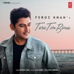 Tere Ton Bina - Feroz Khan mp3 songs