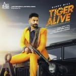 Tiger Alive - Sippy Gill mp3 songs