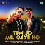 Tum Jo Mil Gaye Ho - Mika Singh mp3 songs