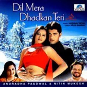 Dil Mera Dhadkan Teri (2002) songs