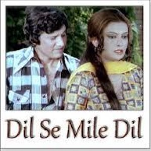 Dil Se Mile Dil (1978) mp3 songs