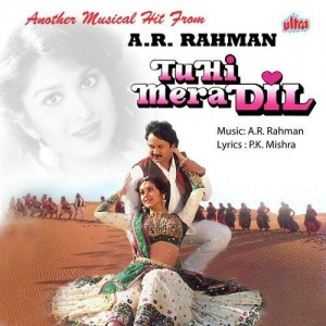 Tu Hi Mera Dil  songs