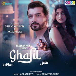 Ghafil (feat.Anjali Arora) - A songs
