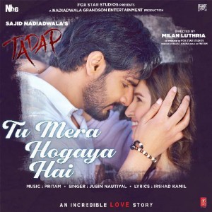 Tu Mera Hogaya Hai